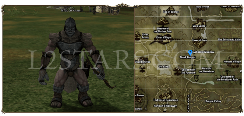 Timak Orc Archer