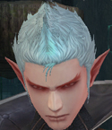 Hair Colors, Male Kamael, Style C.jpg