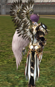 Hussar's Wings Вид 2.png