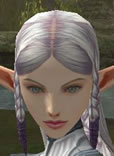 Hair Colors, Female Elf, Style D.jpg